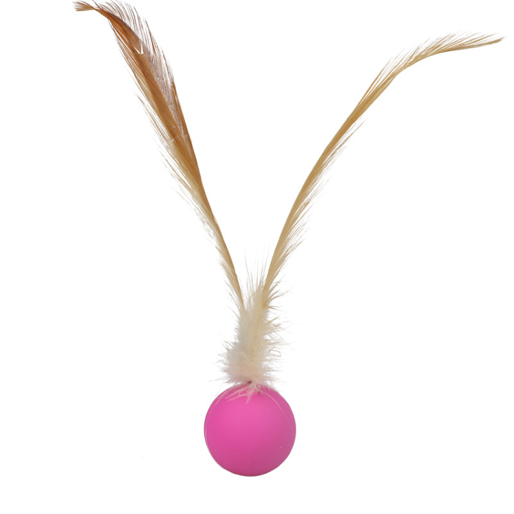 Interactive Elastic Jumping Ball With Feather – Pawpycup