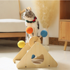 Interactive Ferris Wheel Cat Scratcher Toys