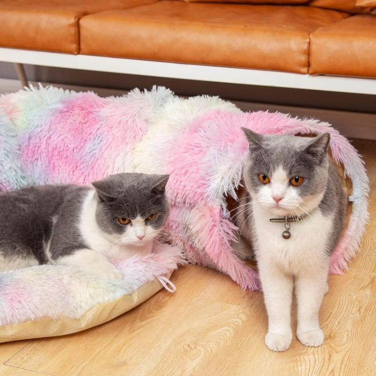 Cama túnel para gatos plegable con alfombrilla central