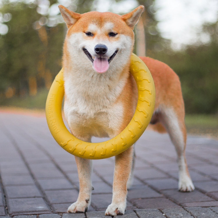 Giocattoli ad anello a forma di pallina per masticare per cani