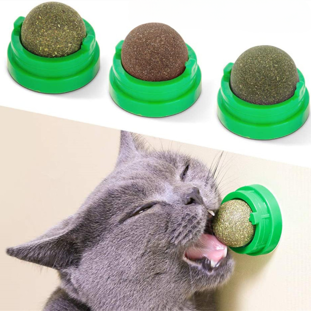 L'herbe à chat rotative ronde traite les jouets en balle