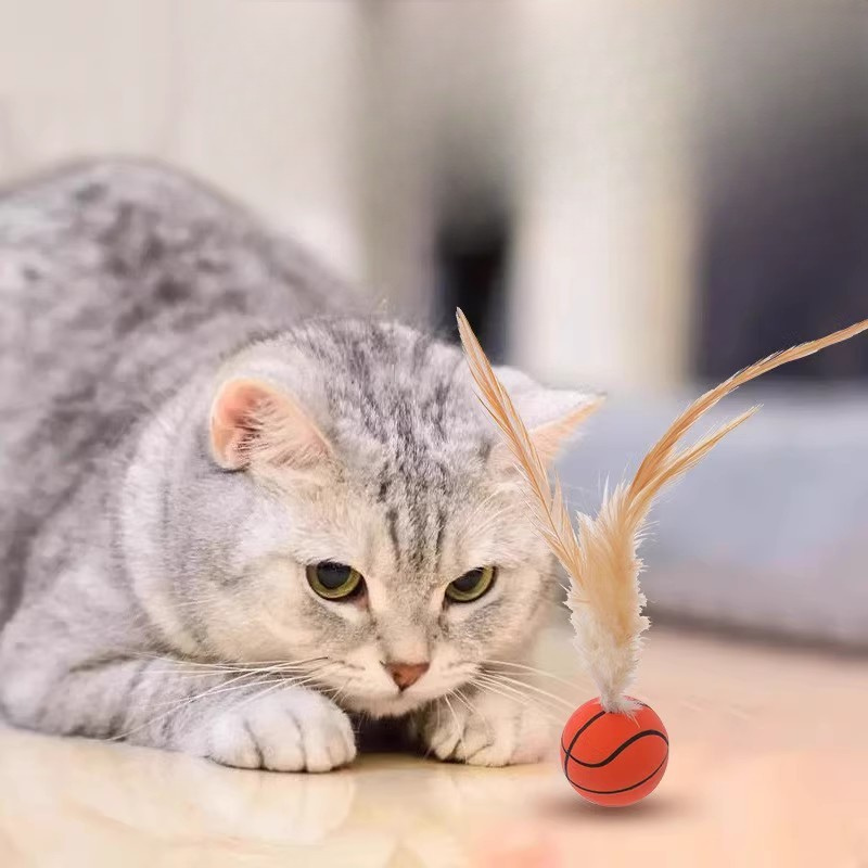 Cat Play Set With Lightweight Feather Balls