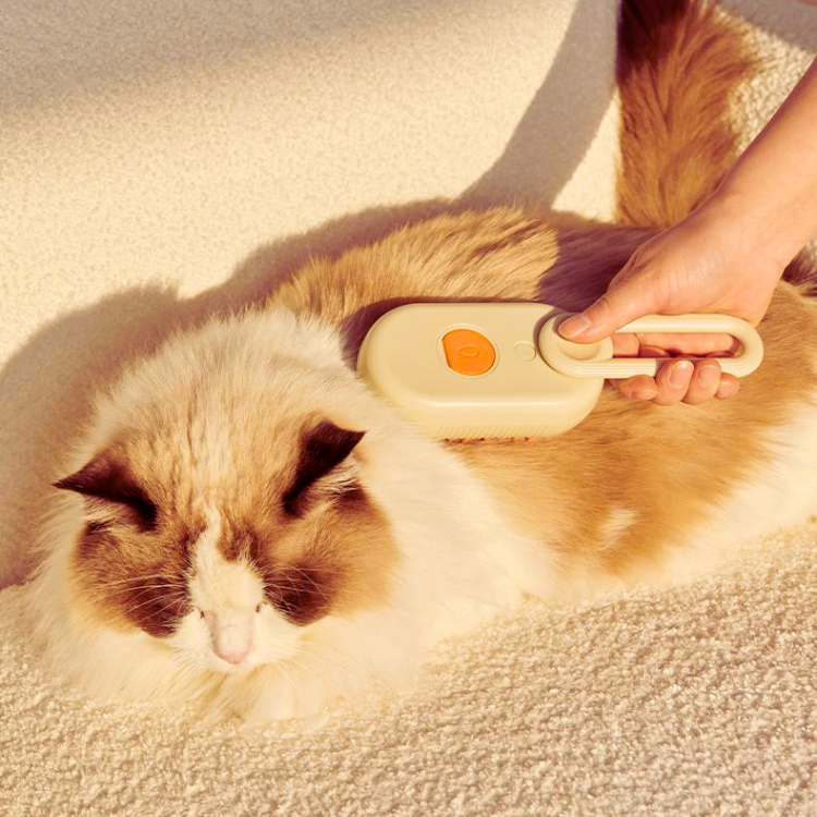 Haustier-Katzen-Spray-Massage-Kamm-Pflegebürste