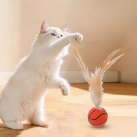 Cat Play Set With Lightweight Feather Balls