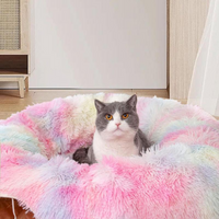 Cat Tunnel Bed Collapsible with Central Mat