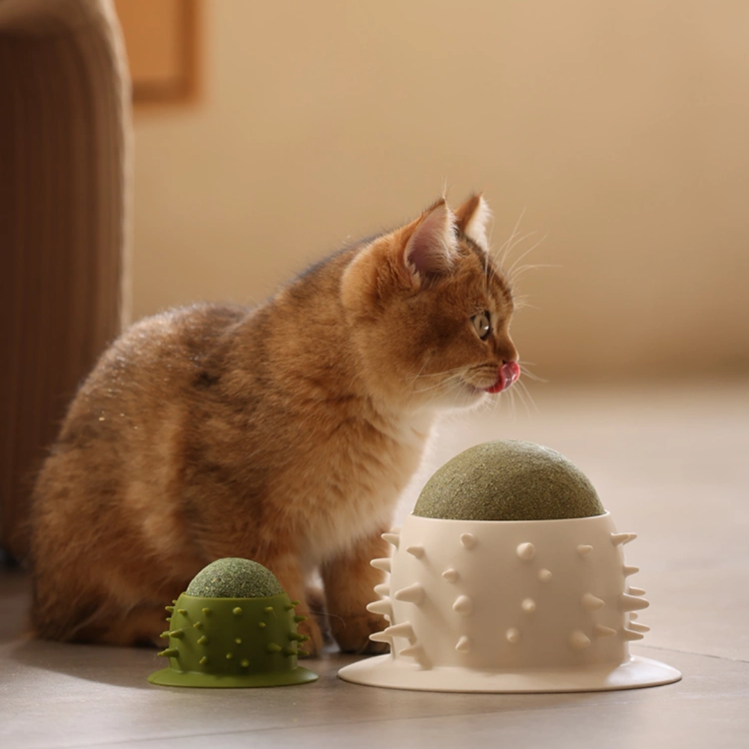 Cat Self Groomer Catnip Ball Licking Toys