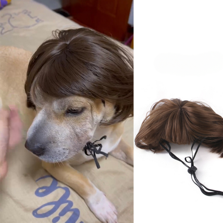 Disfraz divertido de peluca de pelo para mascotas