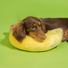 Plush Banana Pillow Toy Cats Dogs