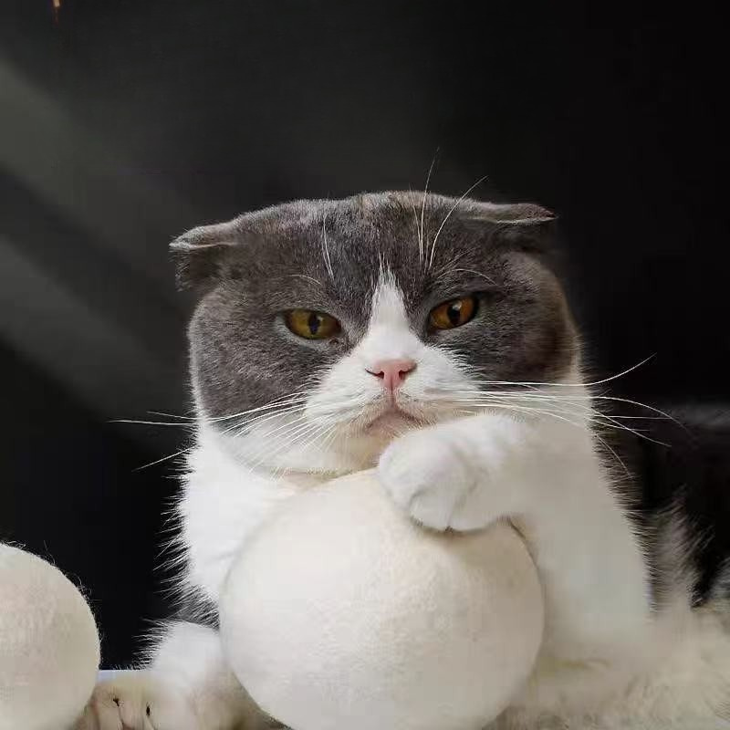 Soft Wool Cat Toy Ball For Interactive Play
