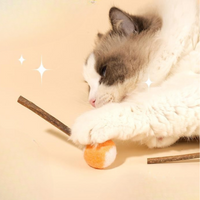 Durable Cat Chew Ball And Chew Stick Toy