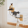 Cat Climbing Platform With Rope Steps