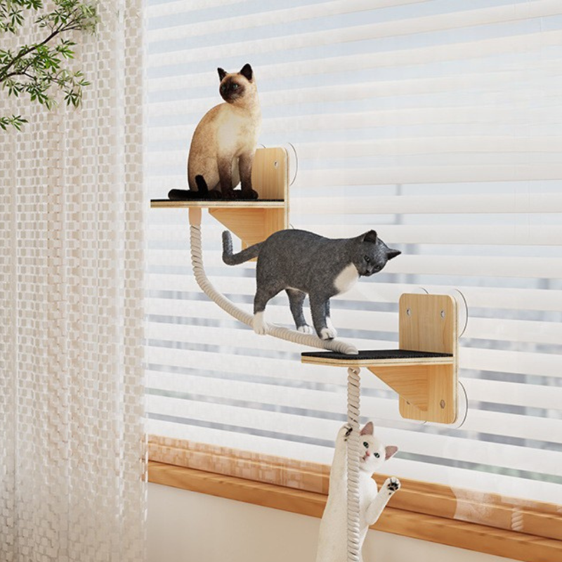 Cat Climbing Platform With Rope Steps
