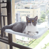 Window Cat Hammock Plush And Mesh