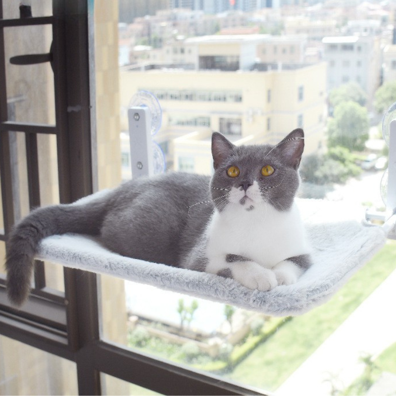 Window Cat Hammock Plush And Mesh