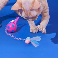 Electric Interactive Cat Toy Ball With Feather Tail