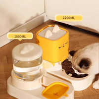 Cat Food Water Bowl Station