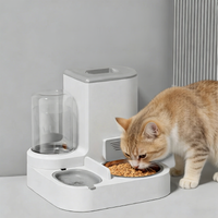 Pet Food Water Feeder Station