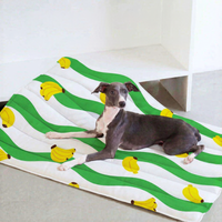 Refreshing Pet Rest Cooling Mat