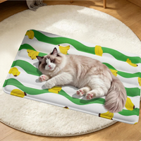 Refreshing Pet Rest Cooling Mat