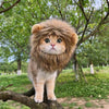 Cute Lion Mane Cat Costume Wig