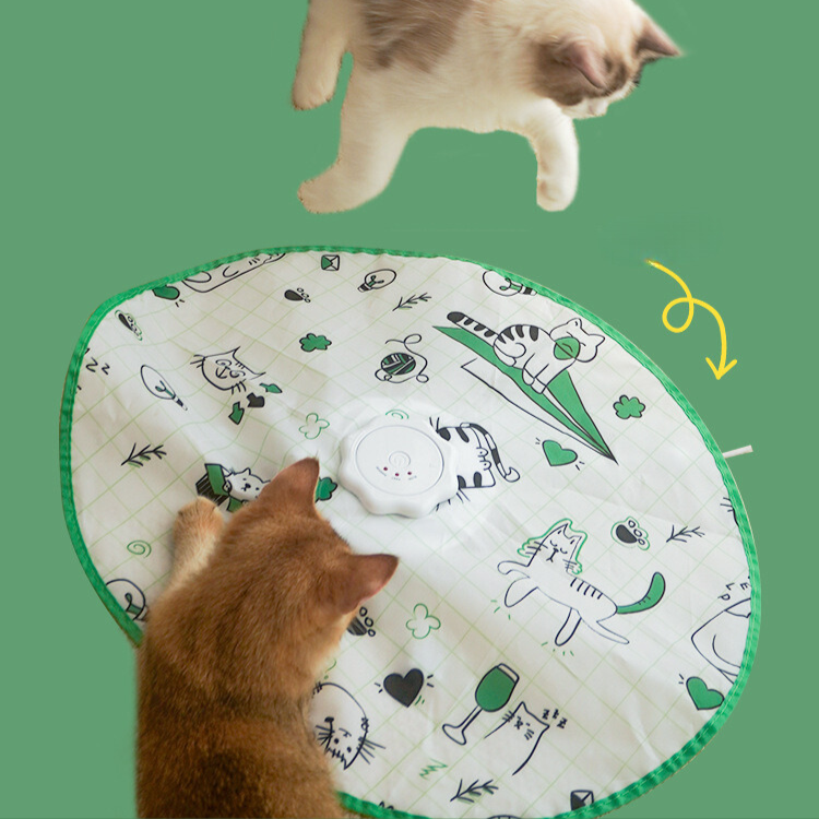 Interactive Electric Rotating Cat Toy – Pawpycup