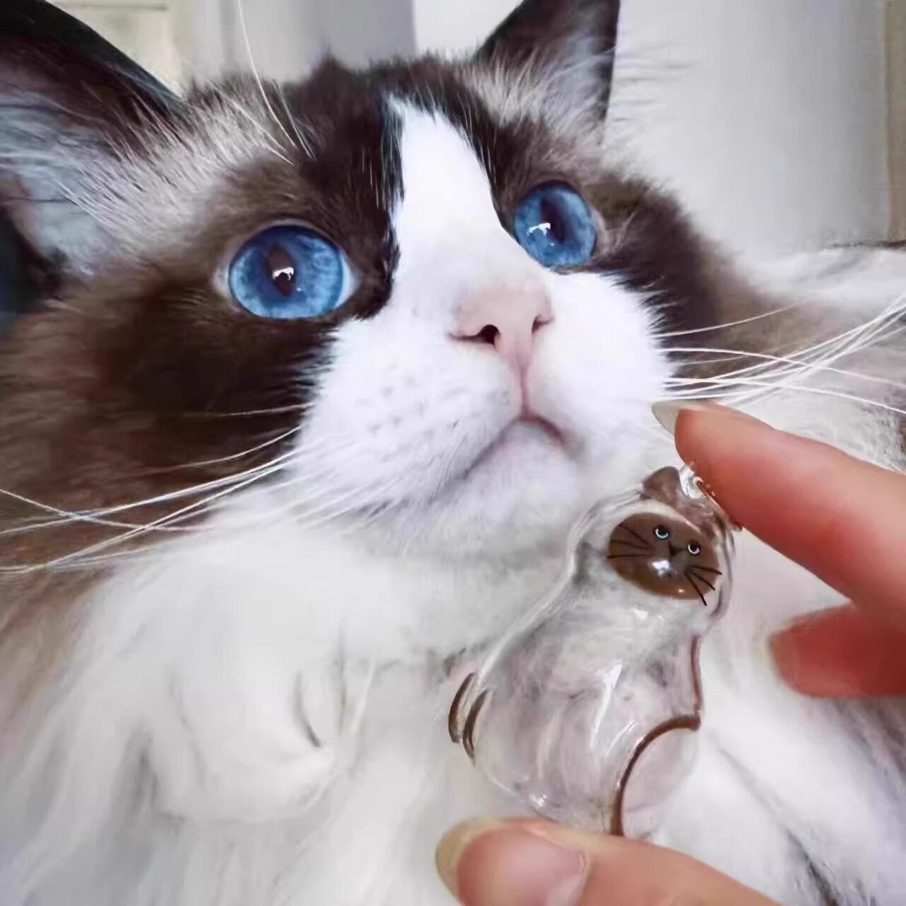 Cat Hair Storage Pendant Pet Hair Collector Keychain