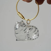 Cat Hair Storage Pendant Pet Hair Collector Keychain