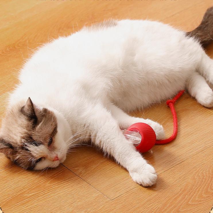 Intelligent Electric Cat Toy Automatic Rolling Ball