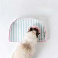 Fluffy cat eating on a mint stripe pet placemat