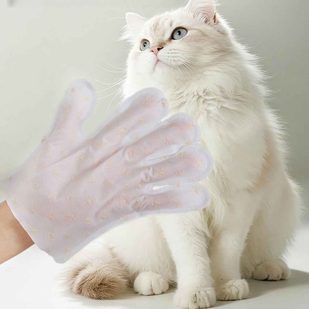 White cat getting a no-rinse cleaning mitt wipe