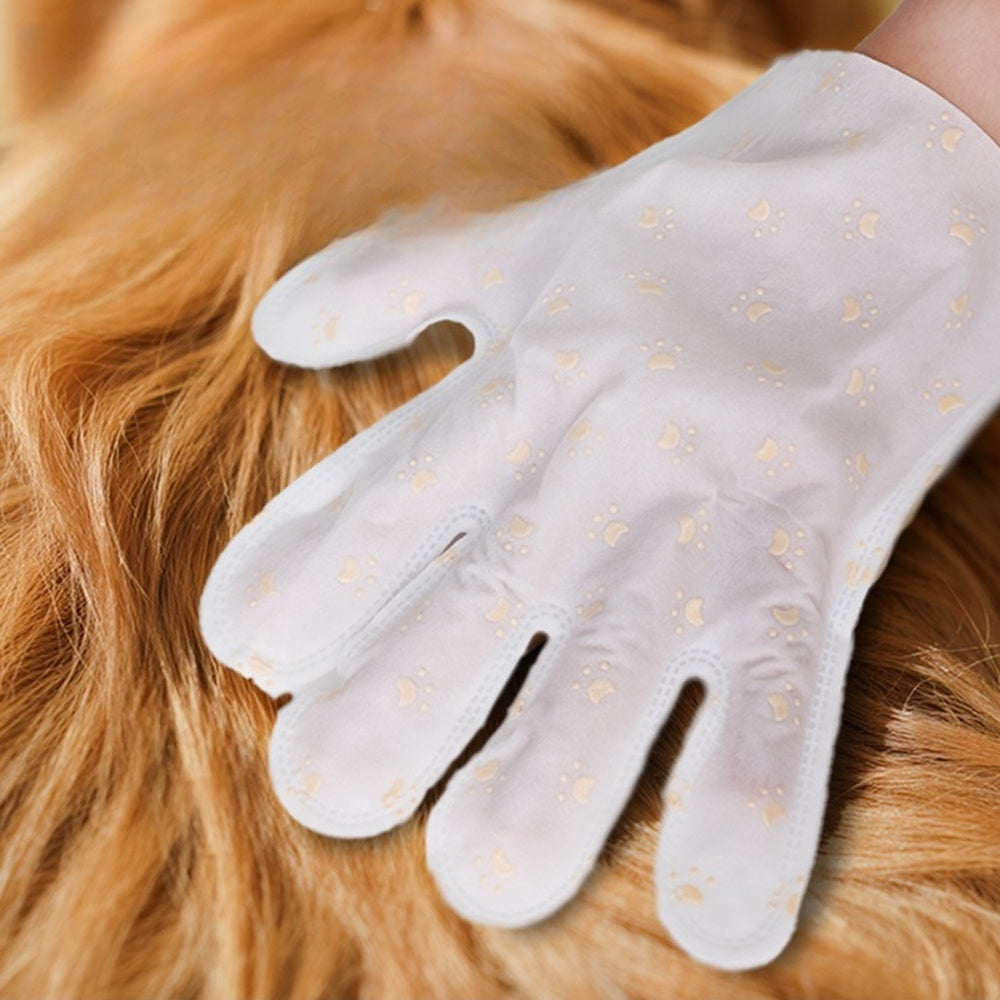 Cleaning mitt gliding over long pet fur