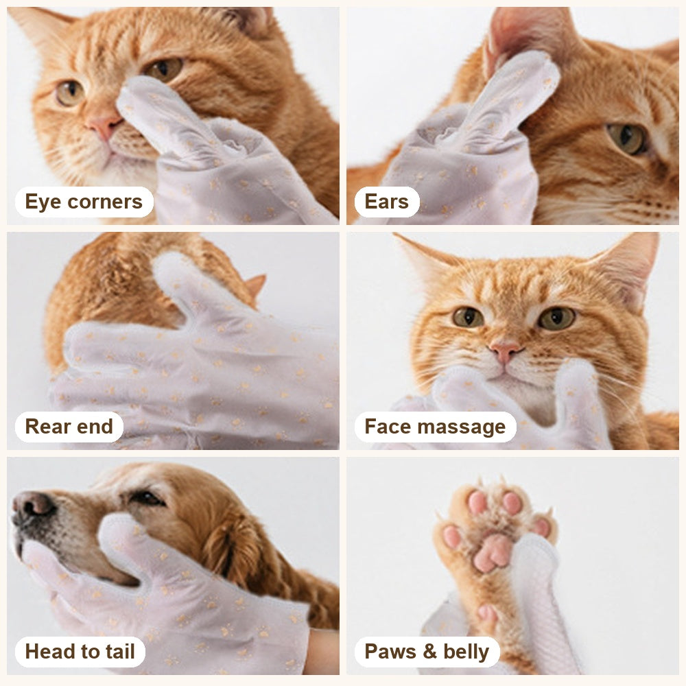 Cat cleaning mitt used on eye corners, ears, rear, face and paws