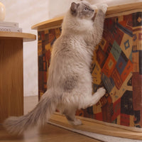 Fluffy cat stretching up to scratch the sisal side of the end table
