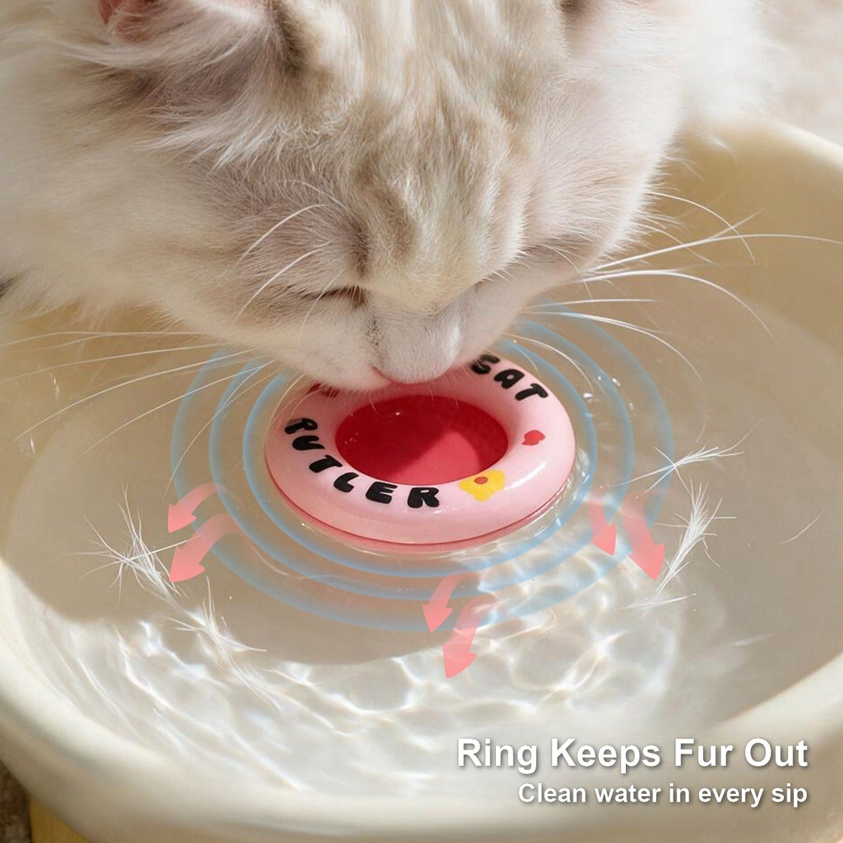 Cat sipping water around a pink float ring