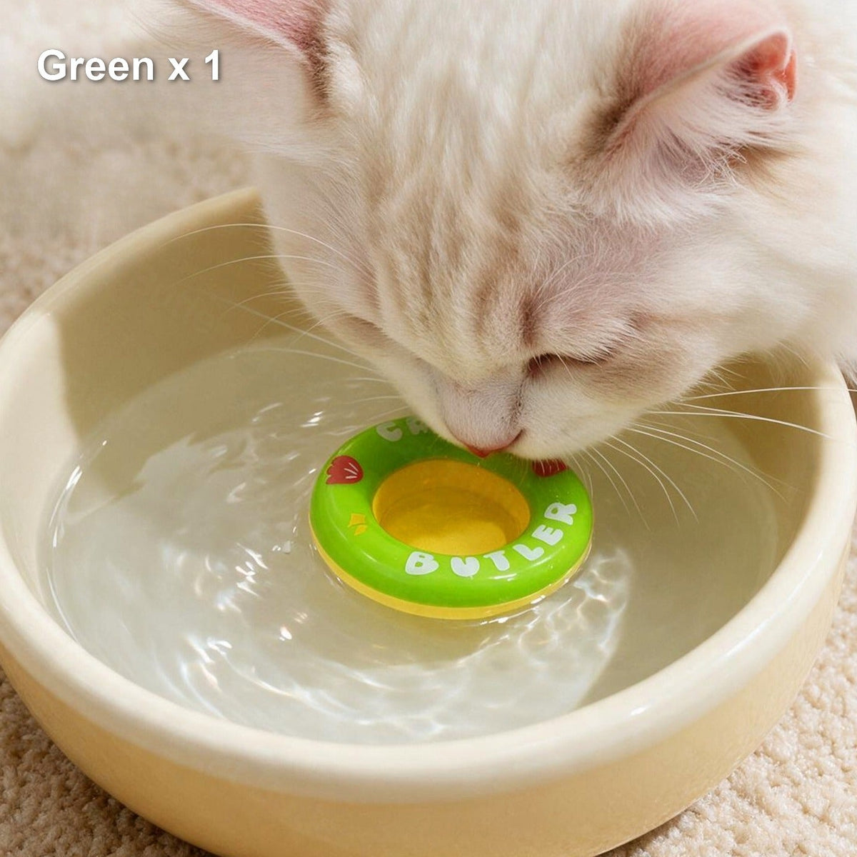 Green float ring bobbing in a water bowl