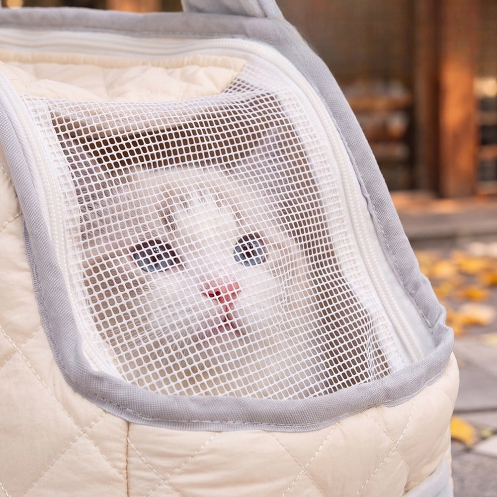 Cat looking out through the breathable mesh window of the carrier