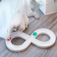Fluffy cat batting a ball around the track