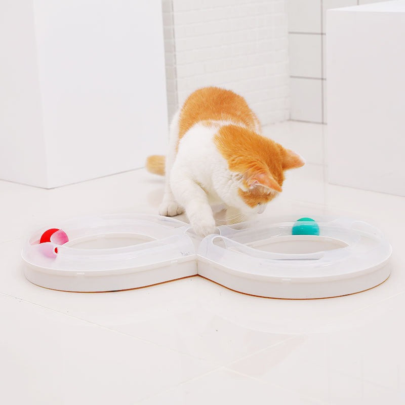 Kitten playing with the white track