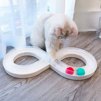 Cat reaching into the track slot