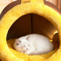 Cat curled up inside the soft cave bed