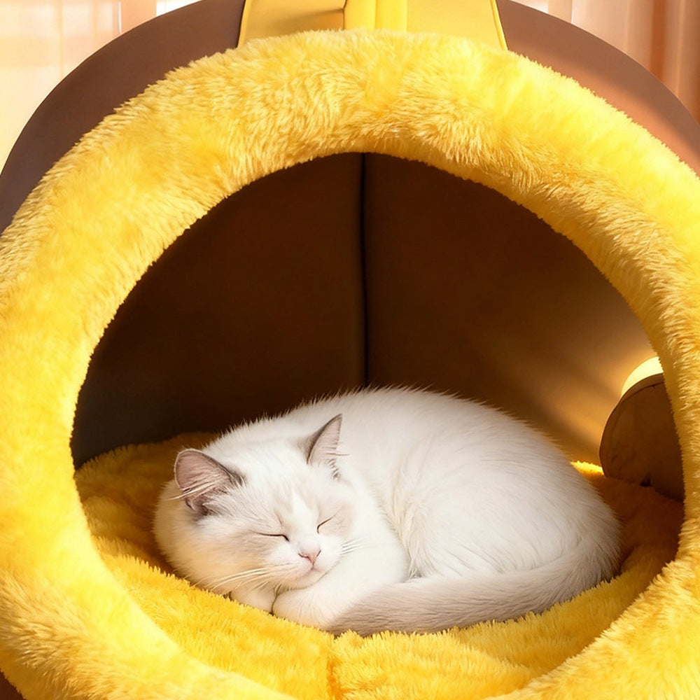 Cat curled up inside the soft cave bed