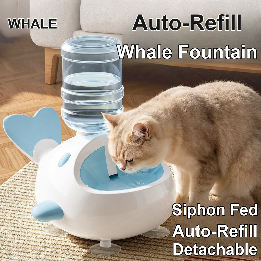 Little Whale Auto-Refill Water Bowl