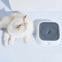Pet Dog Cat Bowl Floating Bowl Waterer