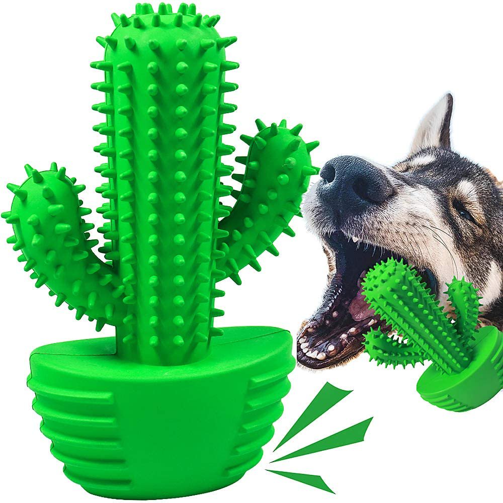 Brosse à dents pour chien cactus