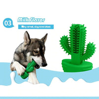 Escova de dentes para cães Cactus