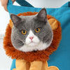 Gato con forma de león que lleva bolsa de lona para mascotas