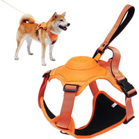 Dog Harness and Retractable Leash Set