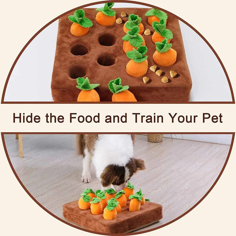 Tapete de atividades para cães que farejam cenouras