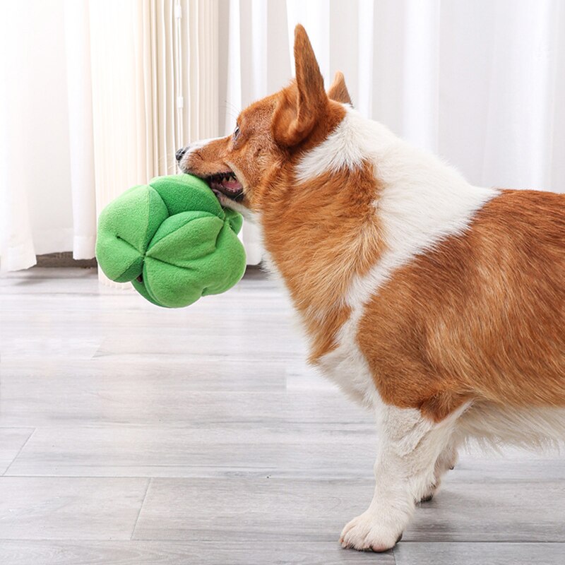 Brinquedos de cachorro com bola para farejar e apertar