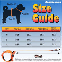 Dog Harness and Retractable Leash Set